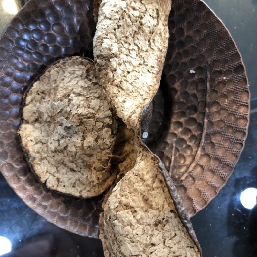 江门 新会陈皮 大红皮