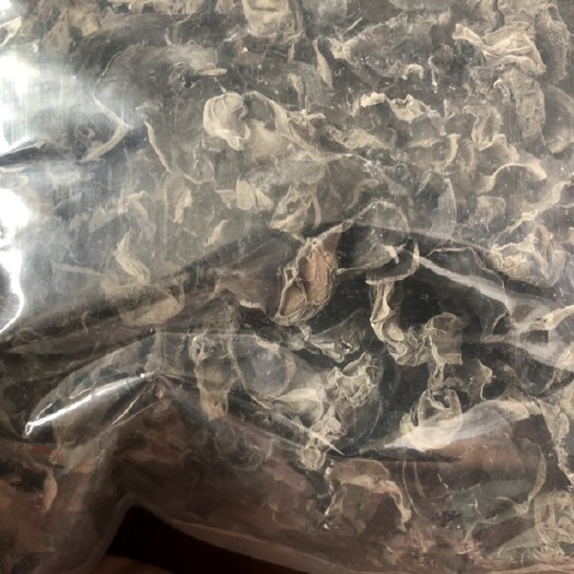 乌什县东北黑木耳 1:14 干木耳 特级