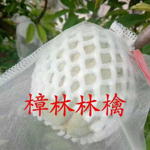 汕头 鲜甜释迦果！营养丰富