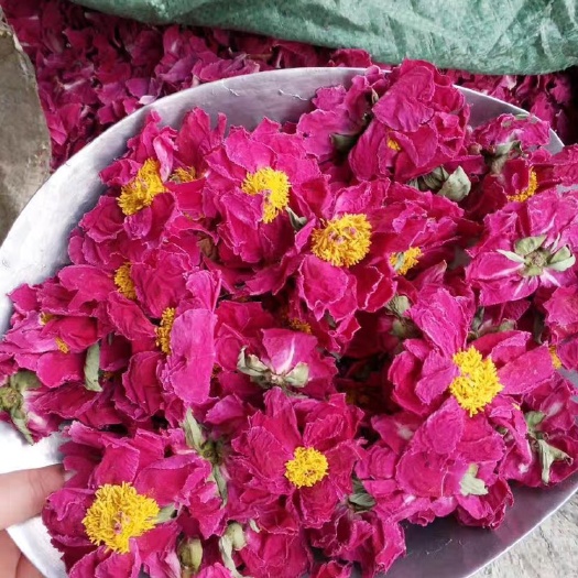  牡丹花干花朵，牡丹花粉，OEM代加工花茶，批发花果茶