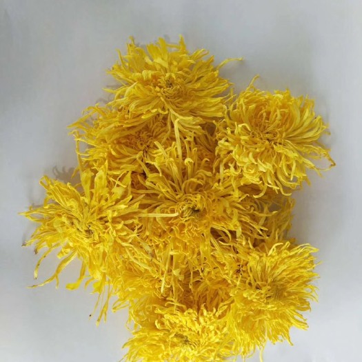 金丝皇菊批发金丝皇菊，OEM代加工组合养生茶