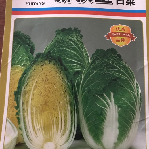 黄心白菜种子 杂交种 ≥85%