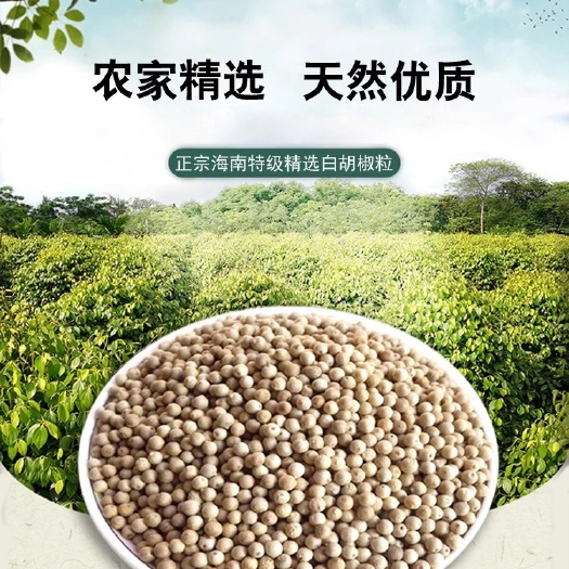白胡椒   海南胡椒之乡，红土胡椒，品质纯正，大量现货供应中