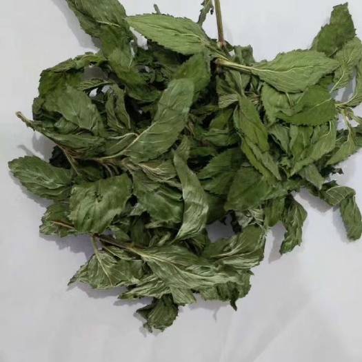 批发养生组合茶，薄荷叶茶，批发花草茶，原料配方茶，花果茶