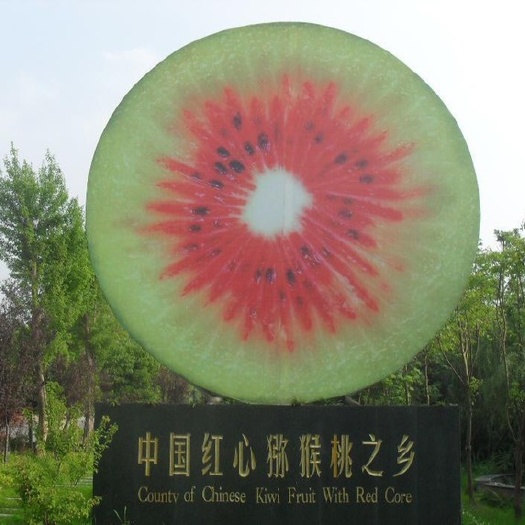 苍溪县 正宗苍溪红心猕猴桃！！！