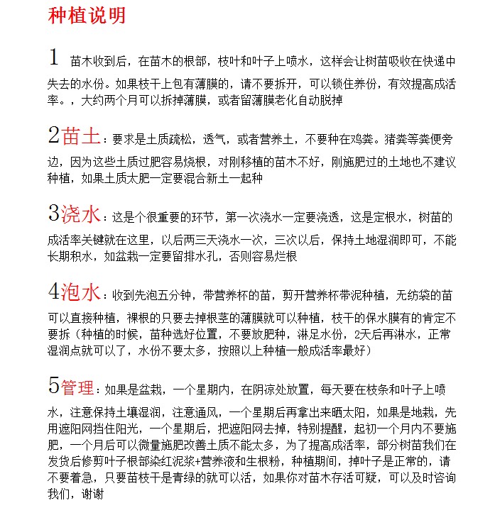  柠檬树苗澳洲手指柠檬嫁接苗带土带叶发货包邮盆栽地栽都可种植