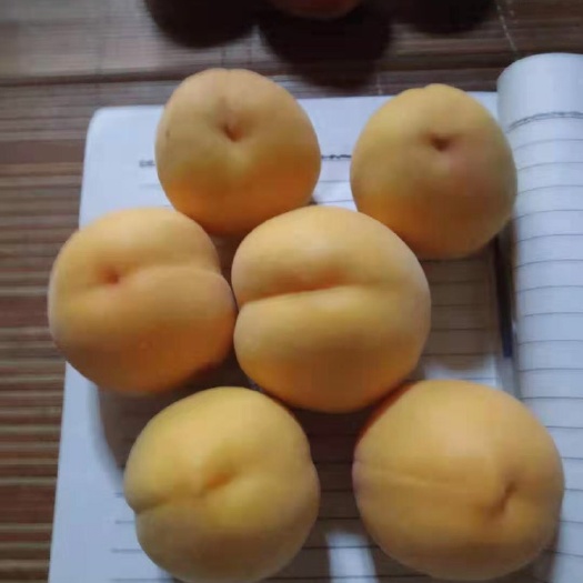 大荔县陕西大荔县纸袋黄金蜜桃不一样的口感纯甜，汁多量大，产地直发
