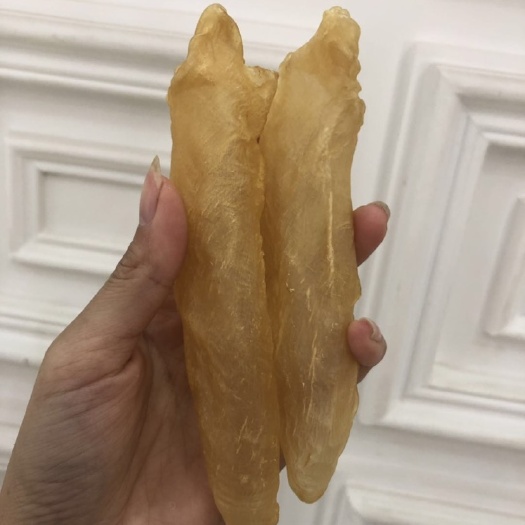 汕尾 30头黄花胶，胶质靓，厚身。精选货，条条靓