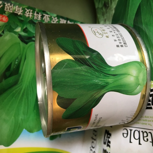 赣州大阪夏力青梗白菜种子