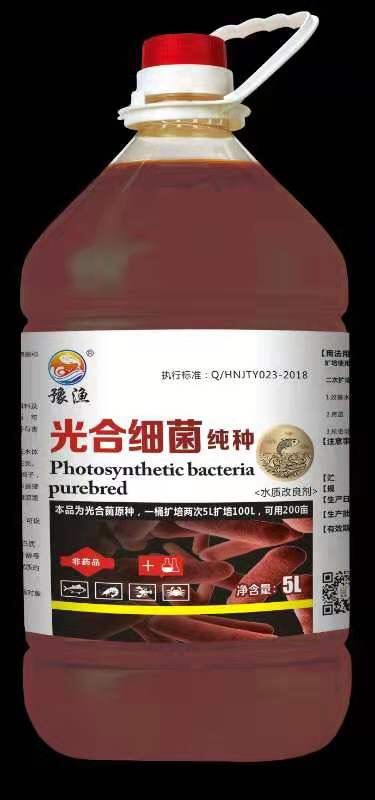 郑州菌肥 光合细菌纯种