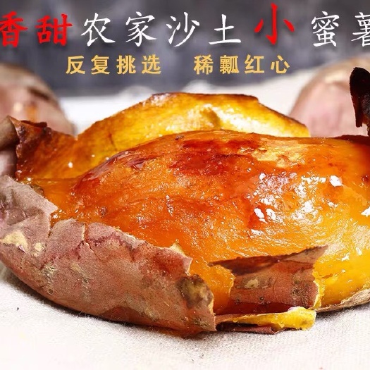 庄河市红心红薯 现货新鲜农家自种蜜暑沙地现挖地瓜糖心超甜烟暑25