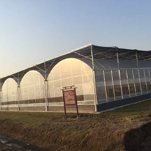 沭阳县钢管大棚 温室钢架大棚蔬菜大棚养殖大棚水产大棚
