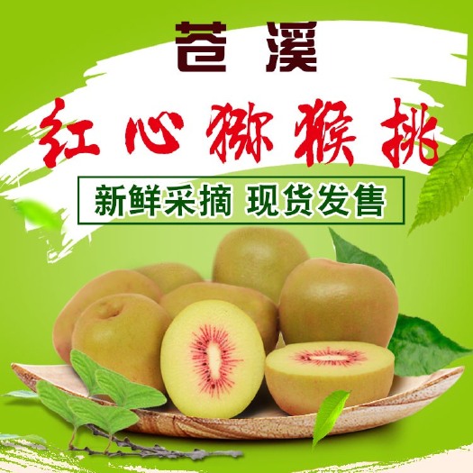 成都 苍溪红心猕猴桃-奇异果-绿色天然