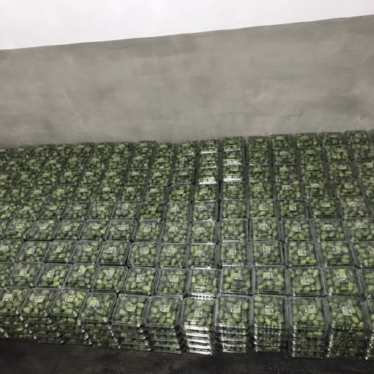  精品拇指西瓜大量批发