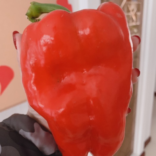 淮安 红辣椒