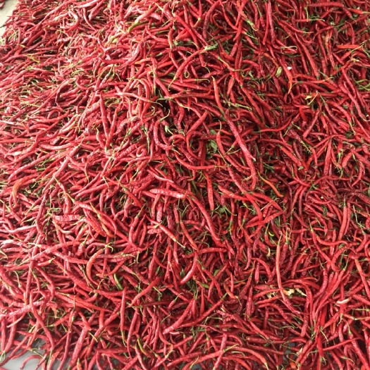 安顺北京红干辣椒