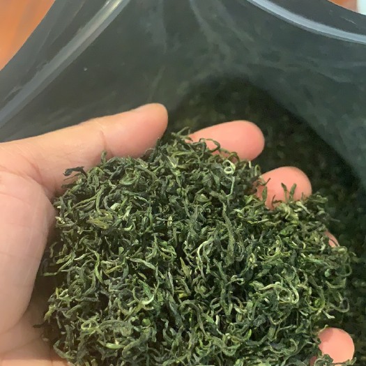 井冈山市 明前特级狗牯脑绿茶