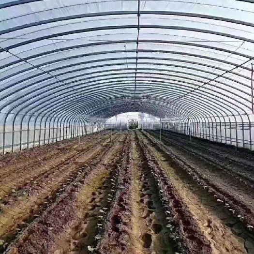 长兴县蔬菜大棚 厂家直营：种植大棚、养殖大棚、单体大棚、连体大棚