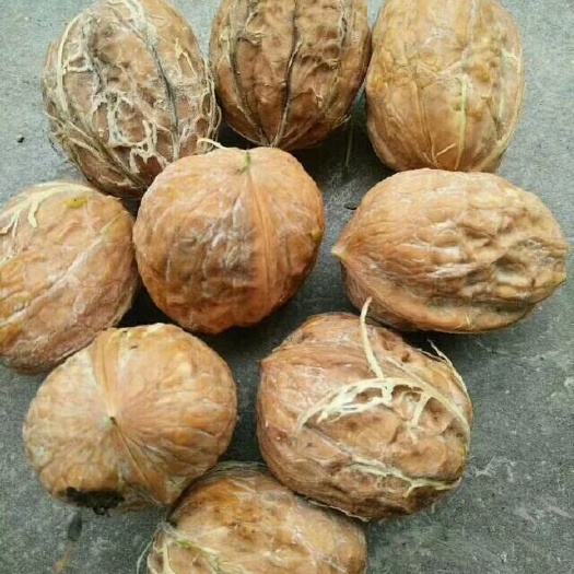 成都青皮核桃 40mm以上 去皮 袋装