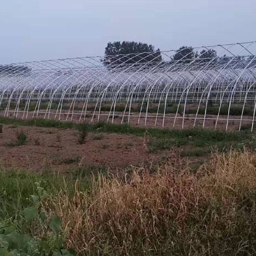 天津大棚钢管
