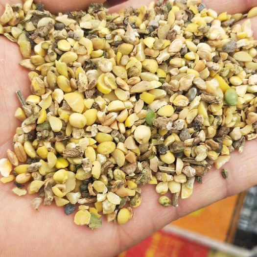 濉溪县碎豆 4等品 生大豆