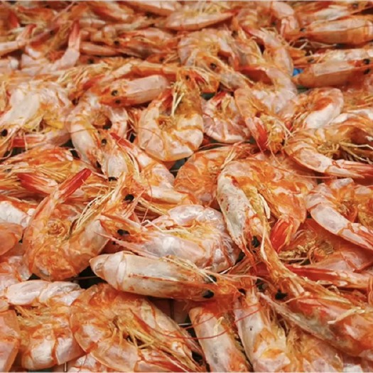 汕头烤虾干 潮汕虾干 即食对虾干 一袋100克，约50只左右