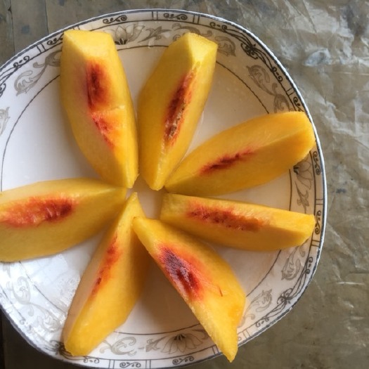 荆州 黄桃