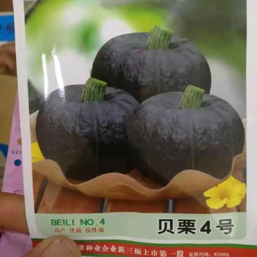 昌乐县贝贝南瓜种子 贝贝种子，提供种植技术
