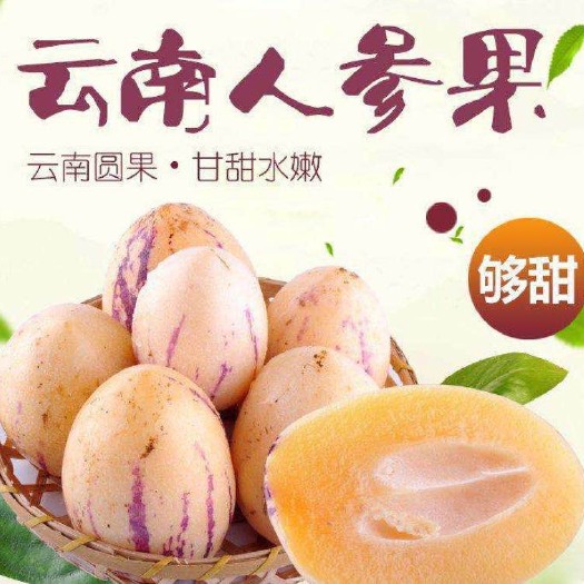 禄丰市圆果人参果 3 - 4两以上