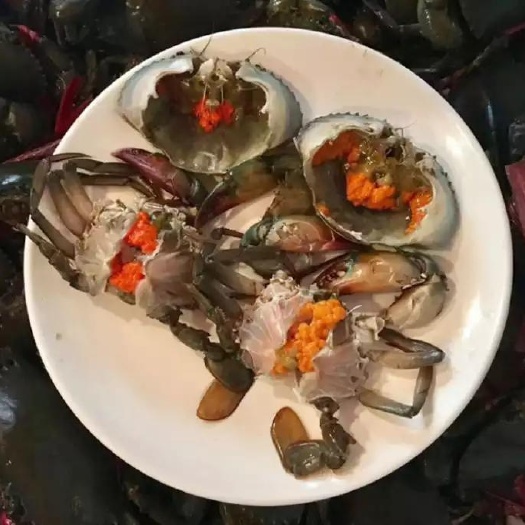 昆明缅甸黑蟹 缅甸膏蟹