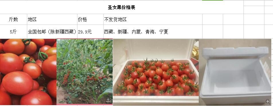 潍坊贝贝1号圣女果 现摘现发