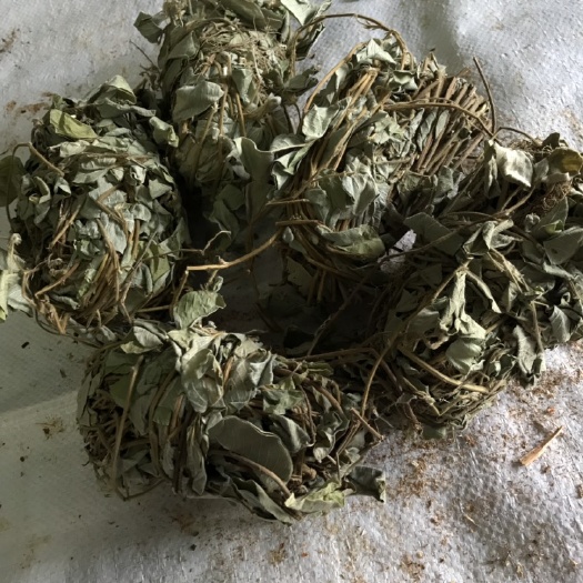 中山市金钱草