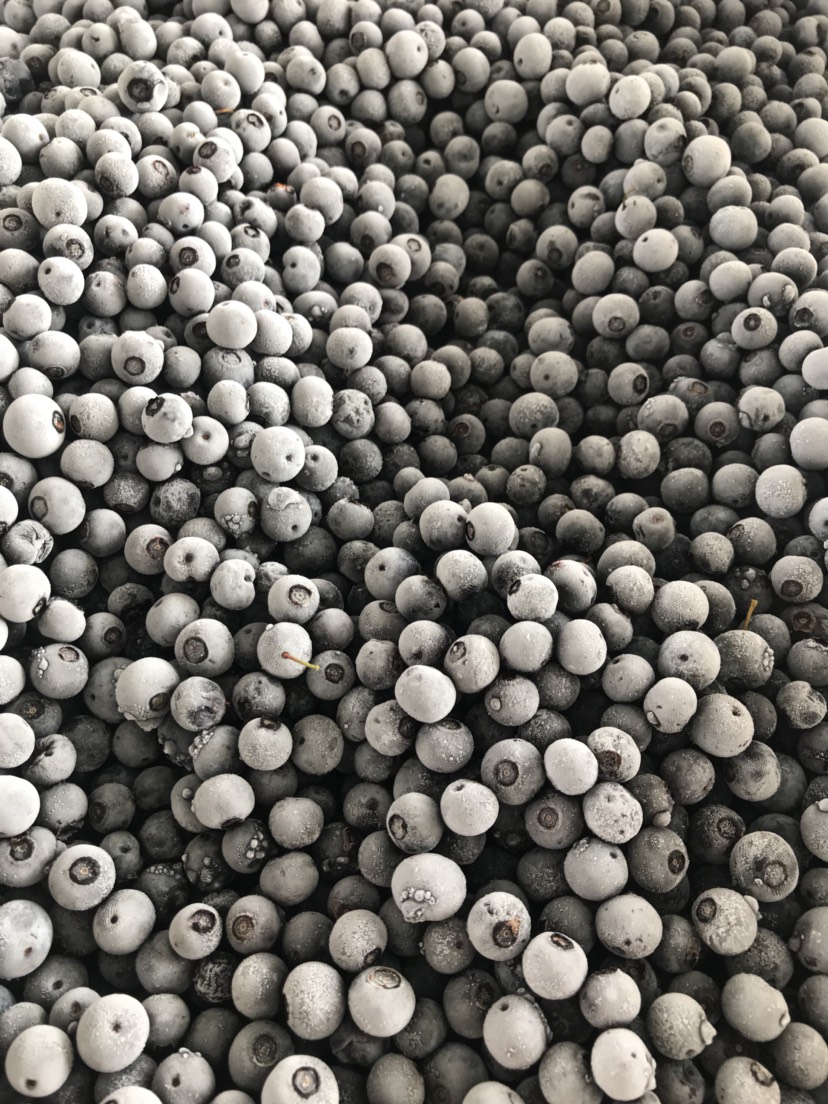 凯里市速冻蓝莓 优质蓝莓冻果 麻江蓝莓 加工原料