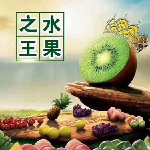 西峡县 海沃特猕猴桃，绿心猕猴桃