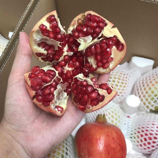 西安红石榴  临潼酸石榴个大味美泡酒