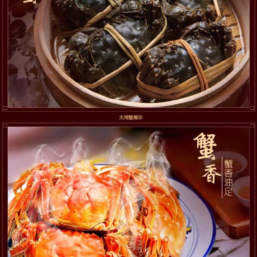 泰州大闸蟹兴化大闸蟹