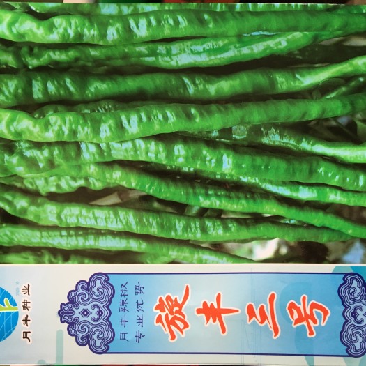 赣州薄皮辣椒种子 旋丰三号，螺丝线椒，薄皮粗长果螺线椒。