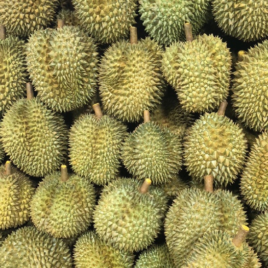 凭祥市泰国榴莲 泰国产地直供