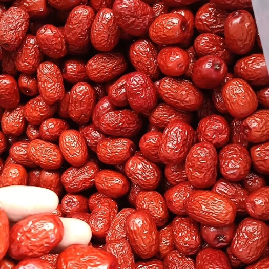 红枣灰枣，质量好，干度饱满度好，一箱20斤起批