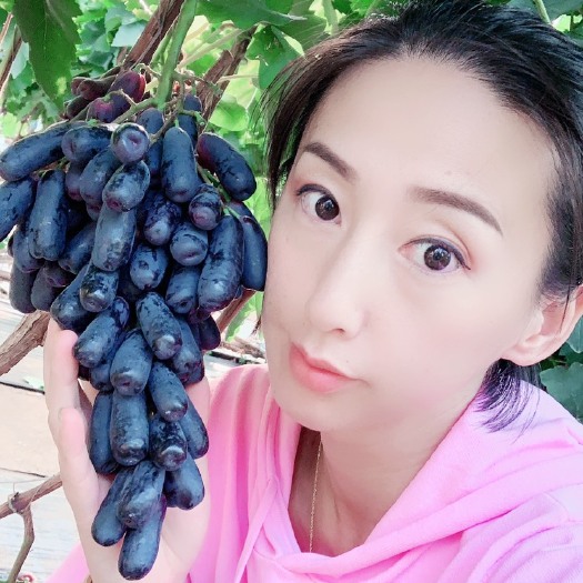 兴城市蓝宝石葡萄苗  甜蜜蓝宝石，外观奇特，个个带就回来酒窝，自然无核，