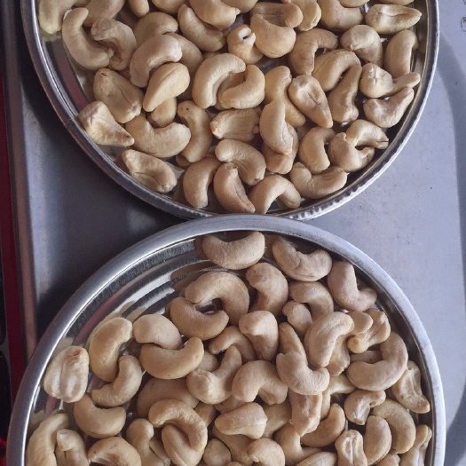 湛江腰果 12-18个月 散装