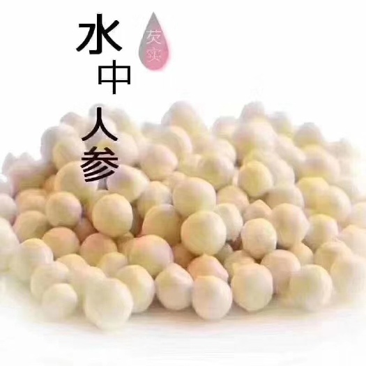 鲜芡实  大水米