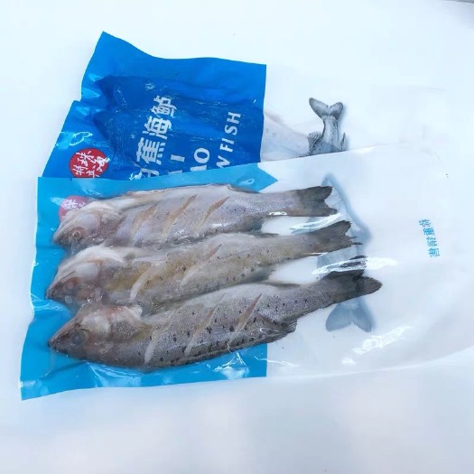 冷冻鲈鱼  【包邮】白蕉海鲈鱼 三去刀花型家庭食用嫩滑海鲈鱼