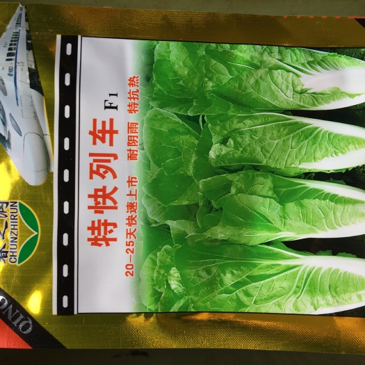 赣州上海青种子  小白菜种子 特快列车，速生小白菜，可青，25天上市小白菜