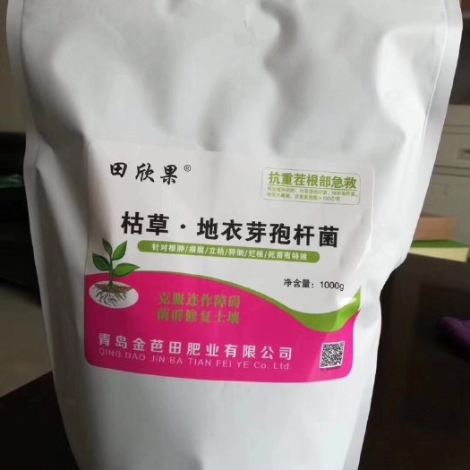 冠县复合微生物菌剂 枯草芽孢杆菌 厂家直销枯草 地衣芽孢杆菌