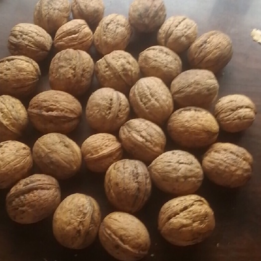 礼县 天然绵核桃