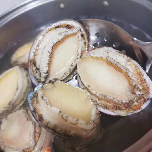 饶平县 鲍鱼 龙虾