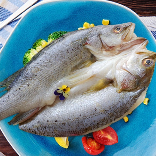 珠海冷冻鲈鱼 白蕉海鲈批发开背型大规格700-800克餐饮店
