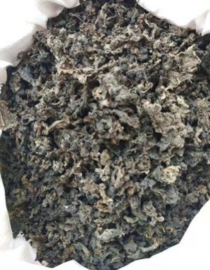 定西 地皮菜