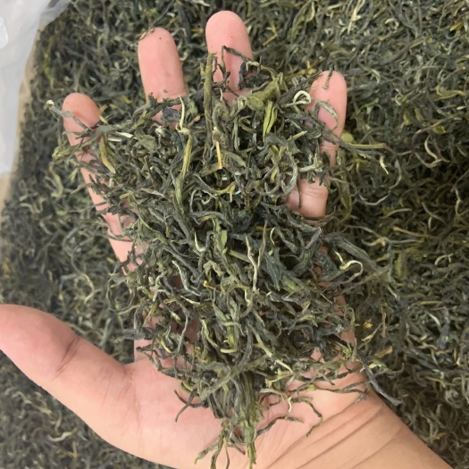 保山 绿茶